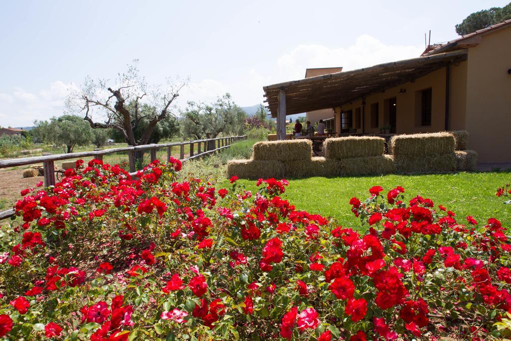 Casone Ugolino Casa de hóspedes Donoratico Exterior foto