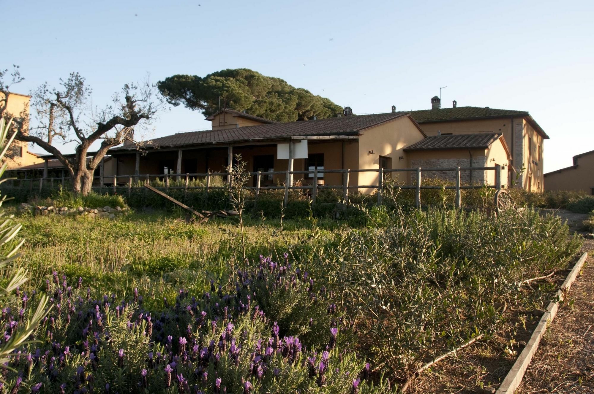 Casone Ugolino Casa de hóspedes Donoratico Exterior foto
